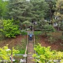 옥화자연휴양림 국민여가오토캠핑장 이미지