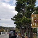 덕신교차로 이미지
