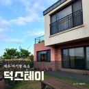 덕스테이 | [제주 숙소] 아이랑 2번째 제주 : 바다가 가까운 독채펜션 덕스테이 (마당있음)