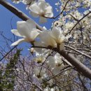 한덕농장 이미지