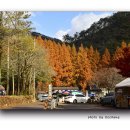 장태산휴양림 이미지