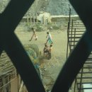 남인도 여행 쿠살나가르 첸나이 호텔주변 -6-(2) 이미지