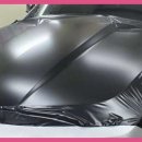 일산랩핑 &#39;명진카스킨 일산점&#39; 기대 이상의 완벽한 서비스에 만족!