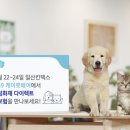 24케이
