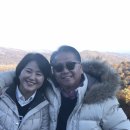 스카이라인투어 이미지