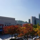 숭실사이버대학교 이미지