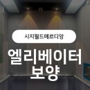 CU시지월드점 | [시지 월드메르디앙] 17인승 엘리베이터 보양 시공 후기｜보양전문업체 '엔빌드'의 꼼꼼한 작업기