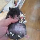 혈도농장 이미지