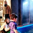 부엉이애견펜션 | 서울근교 양평 키즈풀빌라 펜션 찾는다면, 계곡에서 힐링 가능한곳