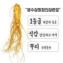 인삼선물세트 수삼선물 더굿진생 금산인삼 6년근 5년근 제품 사용 후기