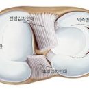 통탈의원 이미지