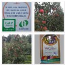 삼백농장 이미지