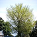 포토갤러리자연사랑 미술관 이미지