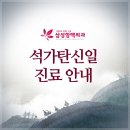 삼성항맥외과 Daum카페