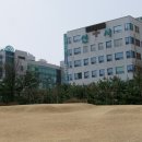 둔산 선사유적지 이미지