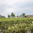 우강면보건지소 이미지