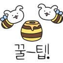 디씨아이 이미지