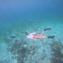 한솔센트럴파크 앞 | 범계체형교정 본밸런스 골반 틀어짐 근막이완 마사지와 운동 처방후기