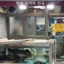 향어천국