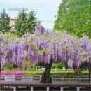 동화1차아파트 놀이터 이미지