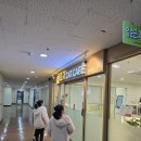 캣502 | 부산 해운대 좌동 냥춘기캣 카페 다녀온 후기 (아이들과 가기 좋은 고양이 카페)