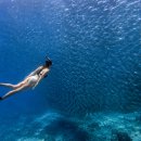 세부 모알보알 후기, 왜 이곳이 오래 기억에 남는지 알겠더라구요