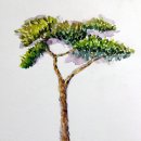 수채화(저) 이미지