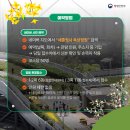 세종청사 11동_1 이미지