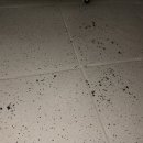 영등동-26 이미지