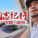 [침착맨] 청두입성 3 - 아낌없이 주는 황충 (기행장군 양양이) 이미지