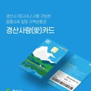 사랑애약국 이미지