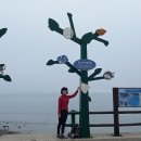 운림산방주차장 이미지