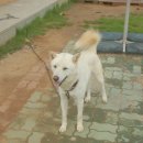 보물나라 이미지