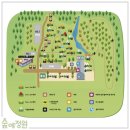 동부오토 | [하남 숲에 정원] 서울시 근교에 있는 하남 검단산 아래 숲속에 있는 숲에정원 캠핑장(5번), 우중캠핑 후기