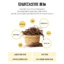 (주)디벨로바이오