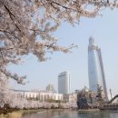 컴퍼니 봄