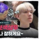 차프로헤어