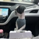 순흥기지떡 영주점 이미지