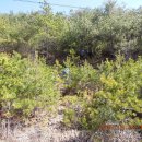 해안관광로 이미지