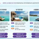 (유)하나여행사 이미지
