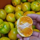 양덕동124 이미지