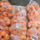 [울산 북구 과일]울산 과일 맛집 신천 과일 후기