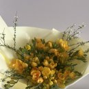 남해-50 | 남해 숙소 쏠비치 남해 디럭스 오션 더블룸 후기