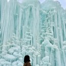 파란마을 | 청양 알프스마을 얼음축제 주차 입장료 할인 체험 후기