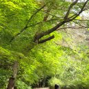 구림산책길 이미지