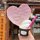 슬기로운 과자생활 이미지