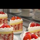 시즌즈(seasons) 이미지