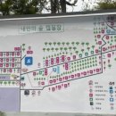 내안의숲 이미지