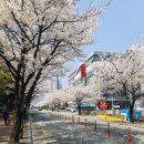 온누리한라약국 이미지