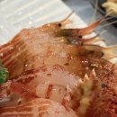 독도 | 포항영일대맛집 현지인 추천 대게 독도 생새우 묵돌이 후기